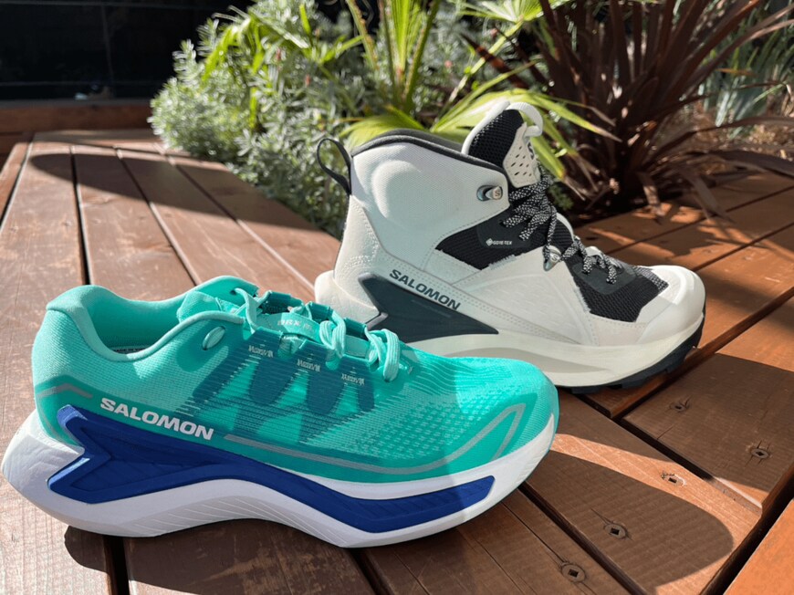 出所：サロモン