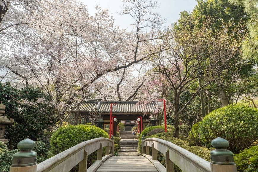 画像出所：株式会社西武・プリンスホテルズワールドワイド「【高輪エリアのプリンスホテル】都心のホテルに咲き誇る約210本もの桜を愛でる春のイベント「高輪 桜まつり2023」を今年も開催」