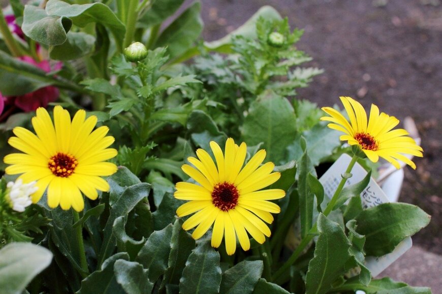 stoickt/istockphoto.com