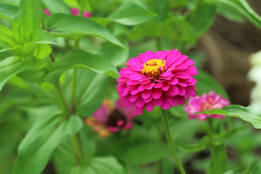 User9236883_407/istockphoto.com