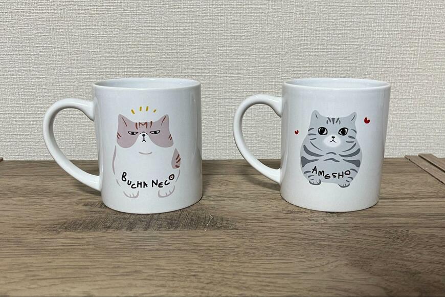 筆者撮影（キャンドゥ、アメショマグカップ240ml・ブチャネコマグカップ240ml）