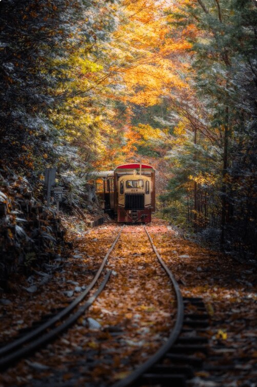 出所：@mizuame__photo