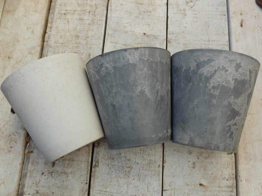 筆者撮影（セリア、ストーン調プランター 4号鉢）