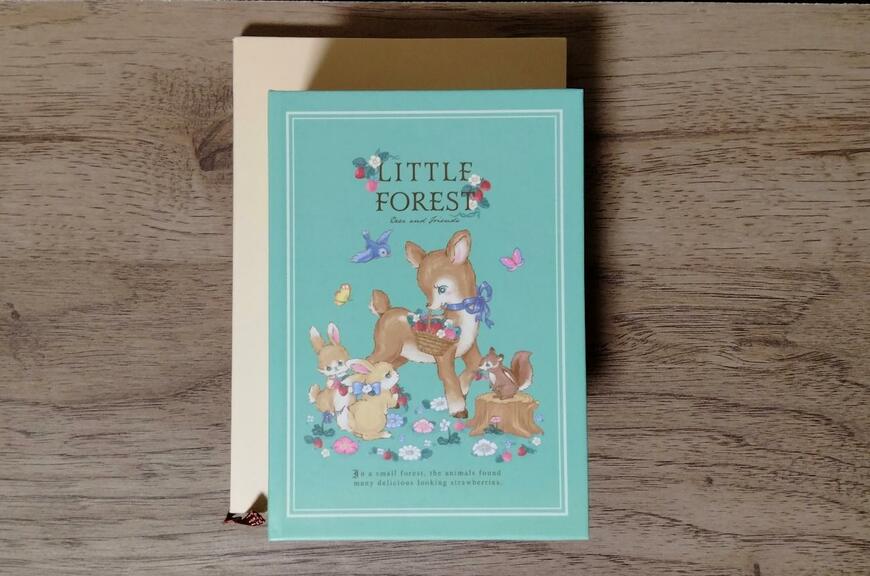 筆者撮影（セリア、ブック型ボックスS ヴィンテージフォレスト）