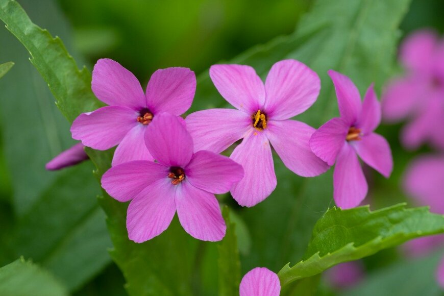 kinpouge05/istockphoto.com