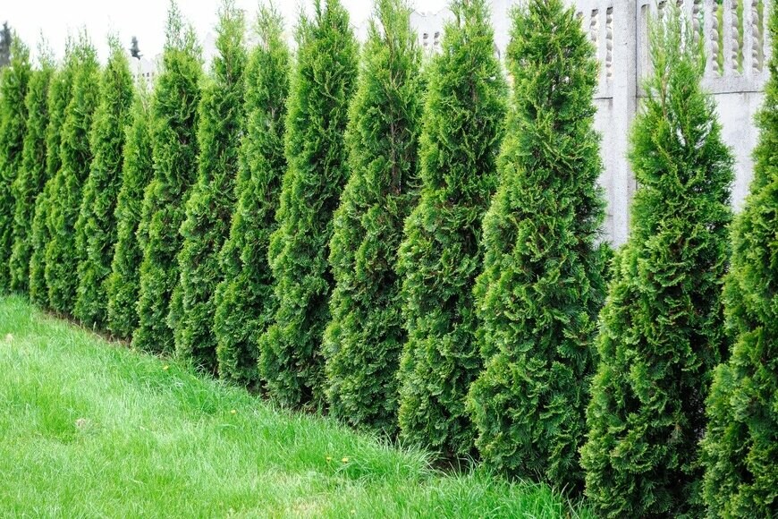 rlat/istockphoto.com