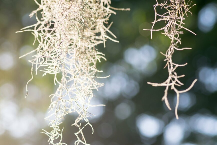 James Hendricks/istockphoto.com