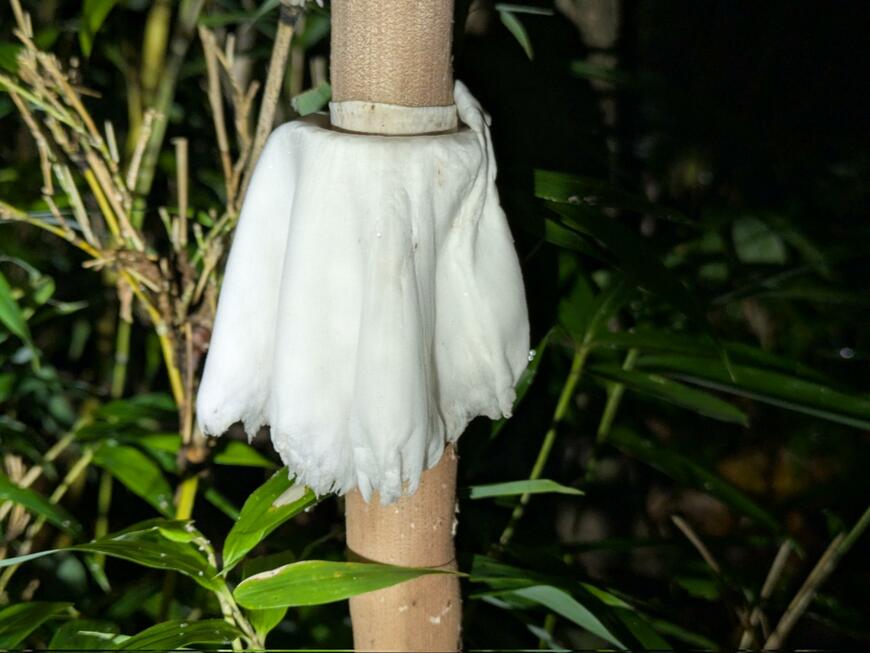 出所：@masayan59896607