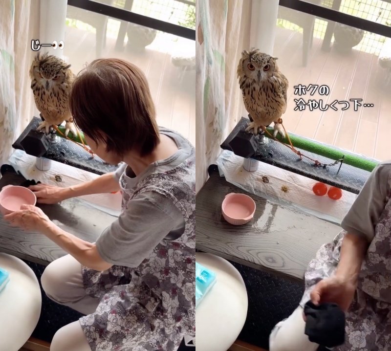 投稿動画のワンシーン