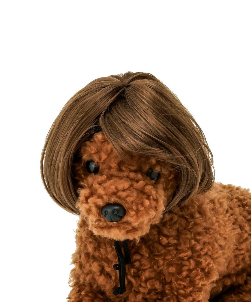 3COINS ペット用カツラ