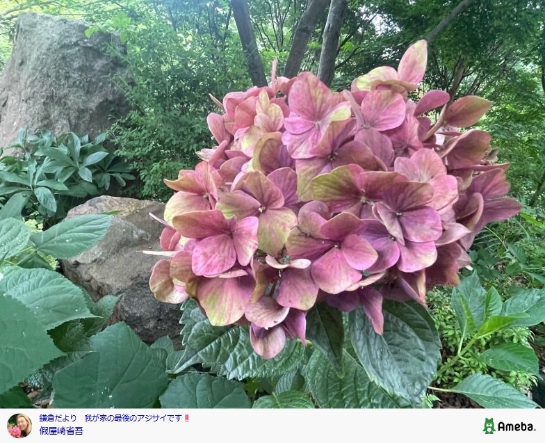 假屋崎省吾のAmebaブログ投稿