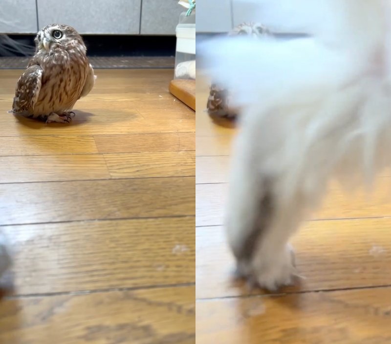 投稿動画のワンシーン