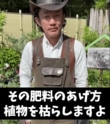 【園芸のプロが解説】肥料のあげ方間違うと…植物枯れる！？初心者OK「3つのルール」で植物元気！