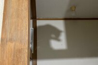 壁に写る猫の影　意外な場所で器用にくつろぐ光景が話題