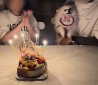 1年前の誕生日に「楽しそうじゃなかった犬」　今年の様子に思わずホッコリ