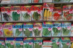 種の段階で「すでに進路が決まってる」？ 大根の種袋に書かれたネーミングに反響