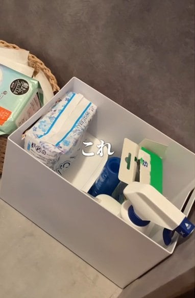 変身前のトイレ