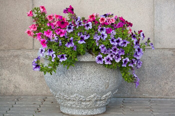 Helga Chirk/shutterstock.com