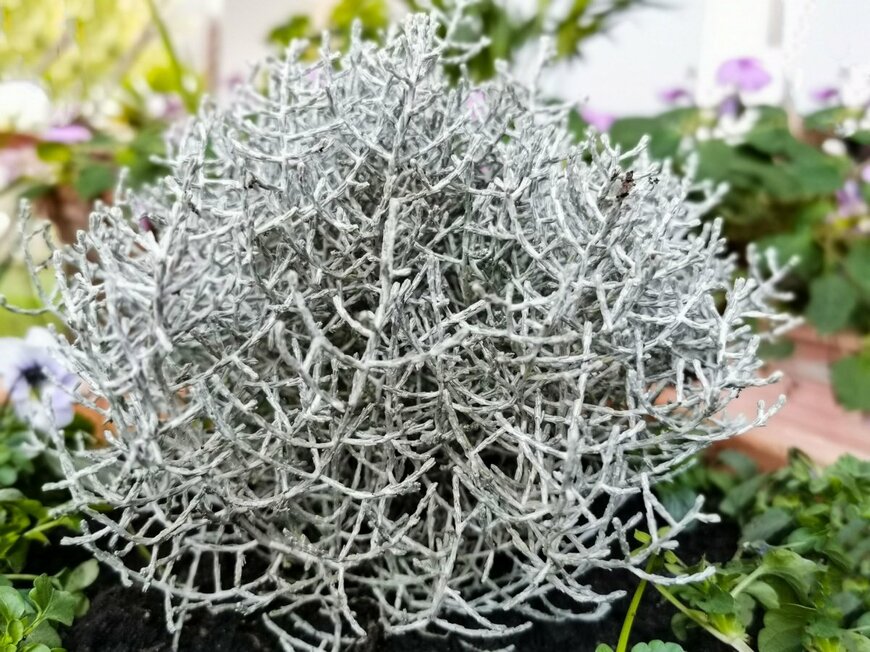 Rafael SANTOS RODRIGUEZ/shutterstock.com