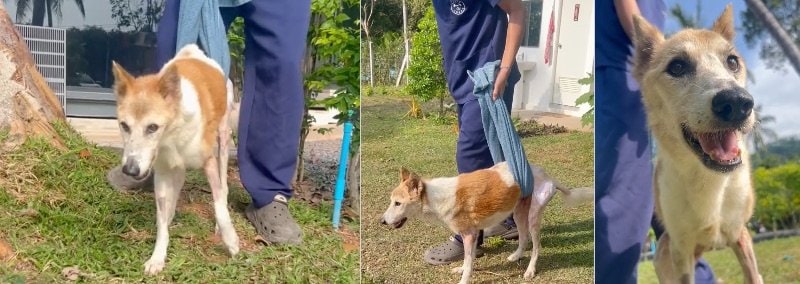 出所：@niall.harbison