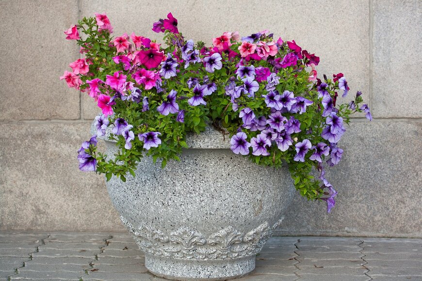 Helga Chirk/shutterstock.com