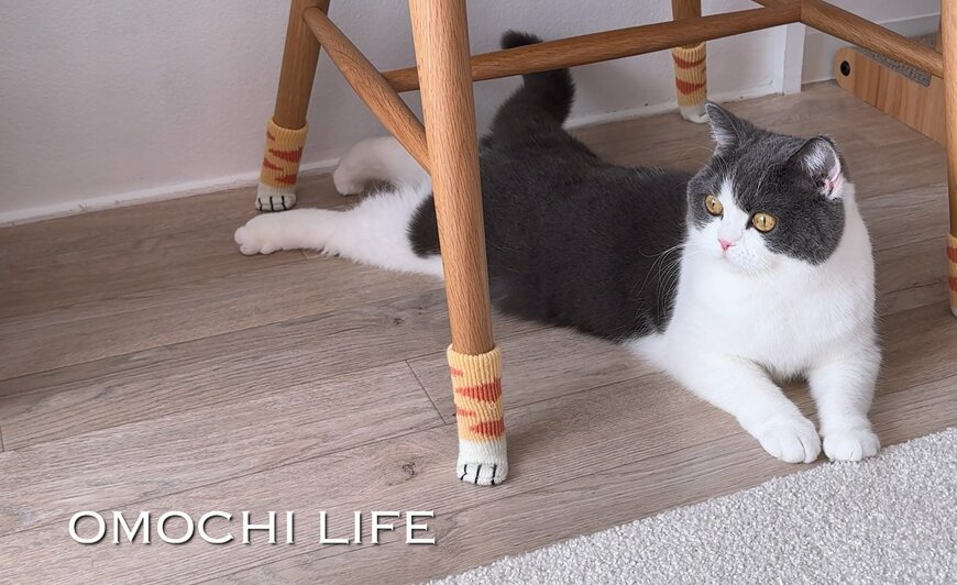 出所：@omochiomoching