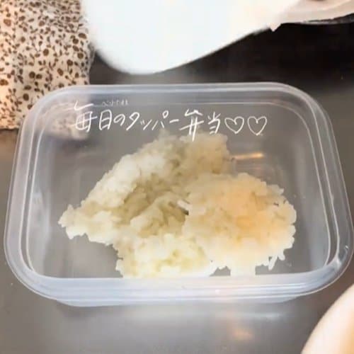 旦那に作る【毎日のタッパー弁当】彩り豊かで見栄え最高！ダブルチーズの「ささみフライ弁当」が話題