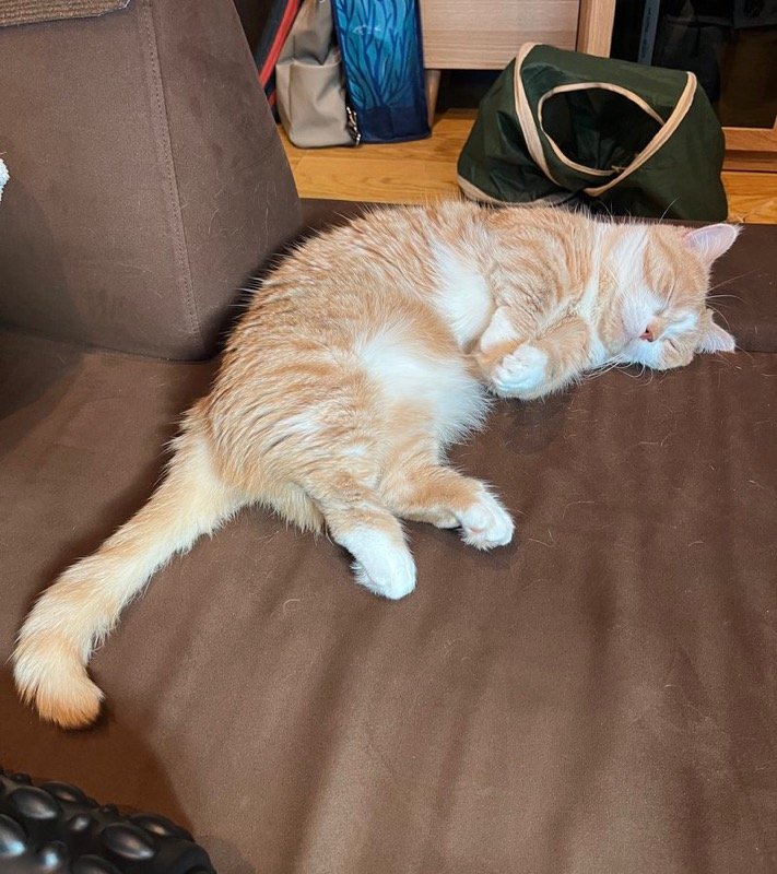 出所：@kotaro_0315