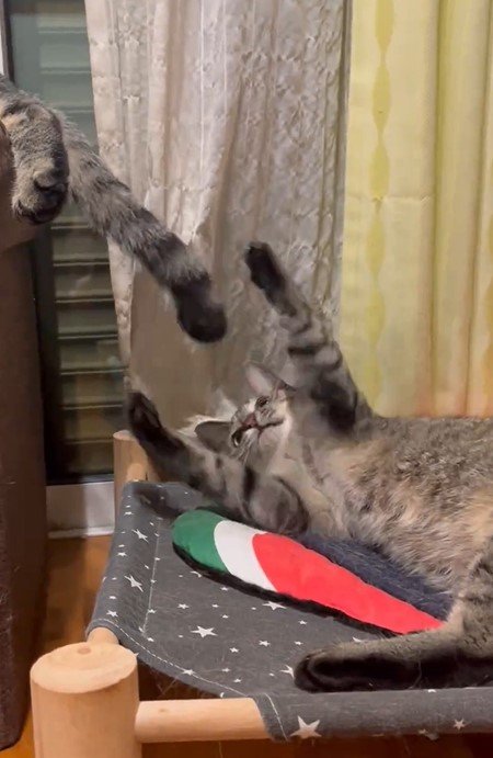 出所：@kagisuzu0531