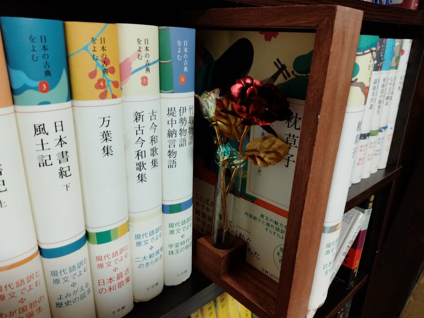 筆者撮影（ダイソー、壁掛け一輪挿しフレーム）