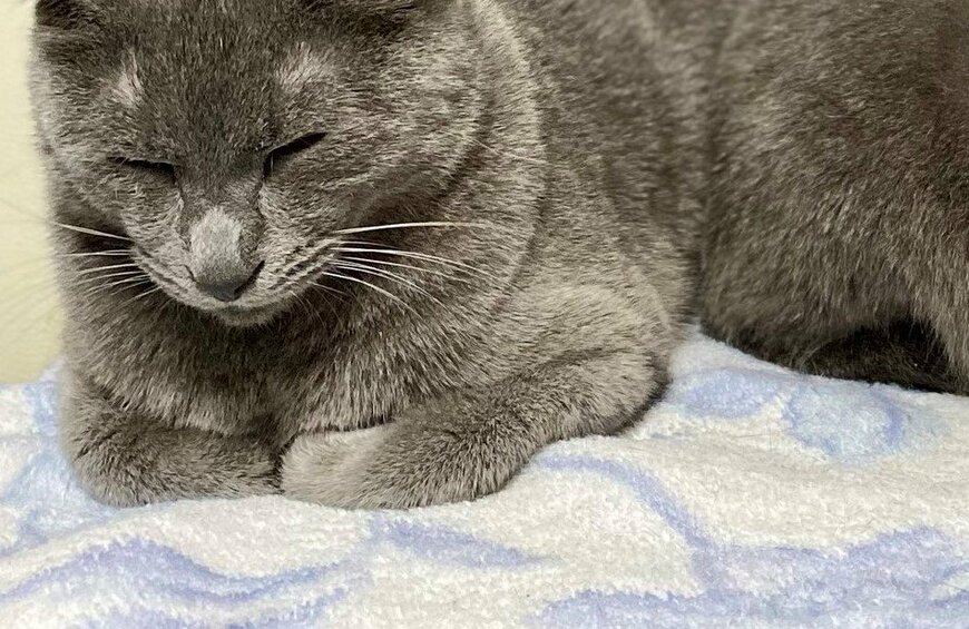 出所：@luna7taka9