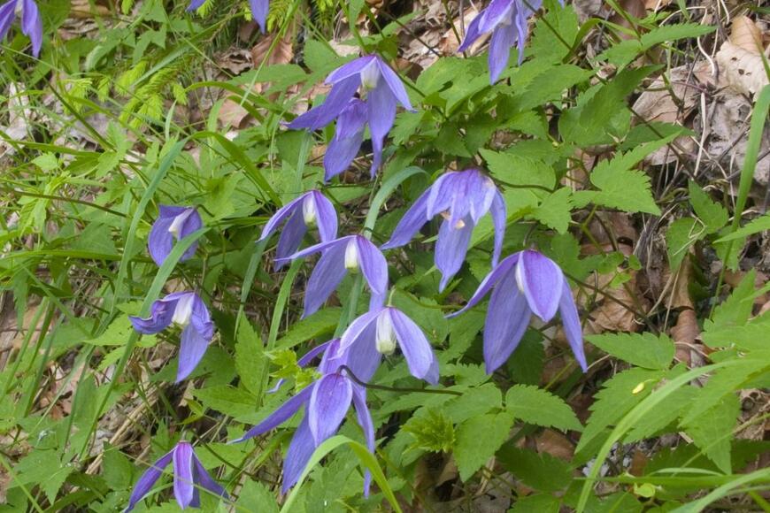 Walter Erhardt/shutterstock.com