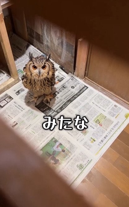 出所：@ba_chantolatte