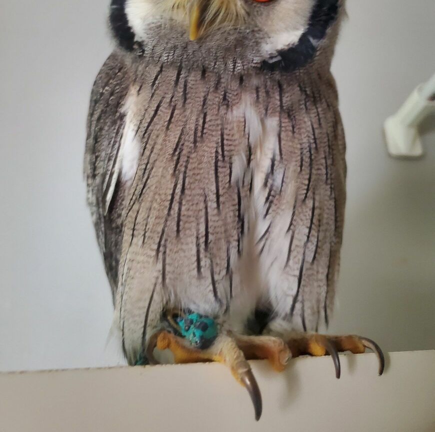 出所：@joker1999jr