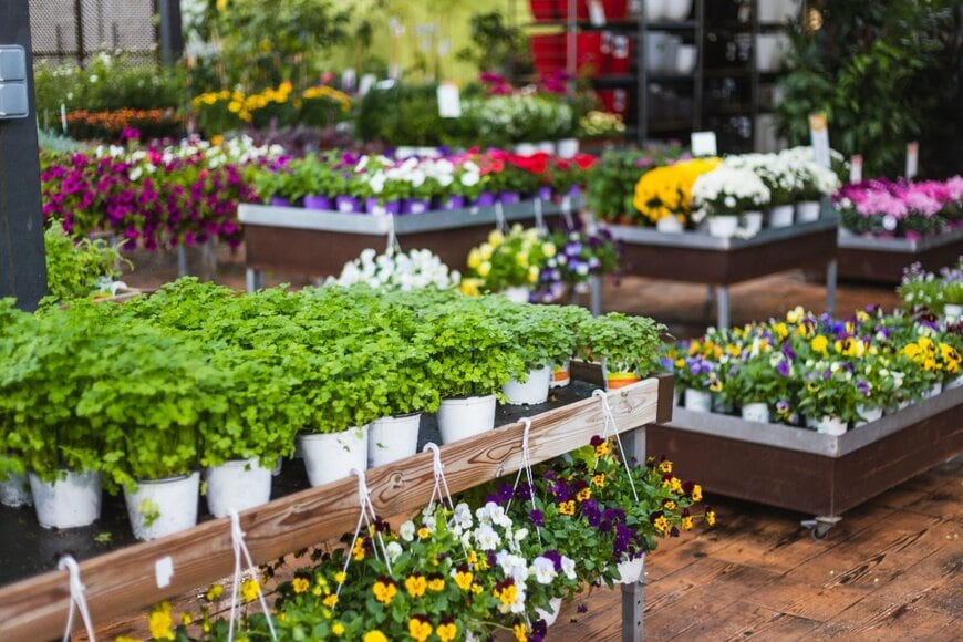 anabg/shutterstock.com