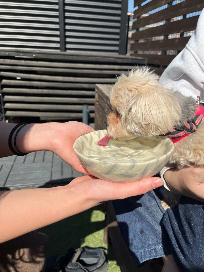 出所：@potage_0924