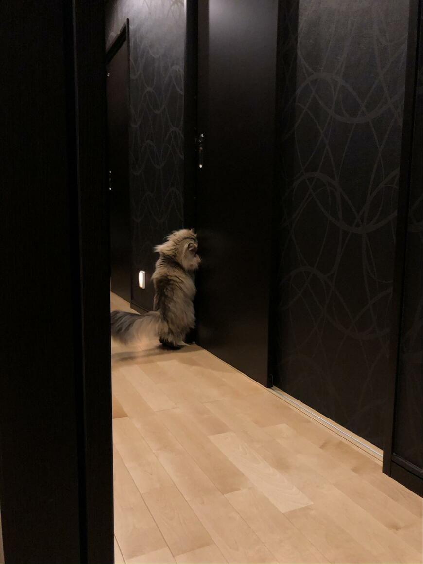 出所：@UphQepCv8J