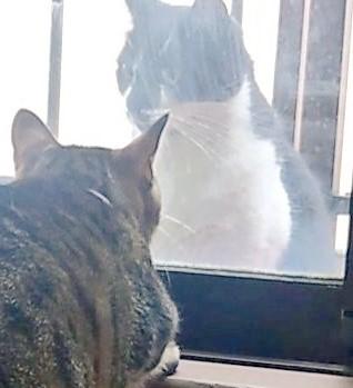 出所：@Mh0MLiErcV8E97C