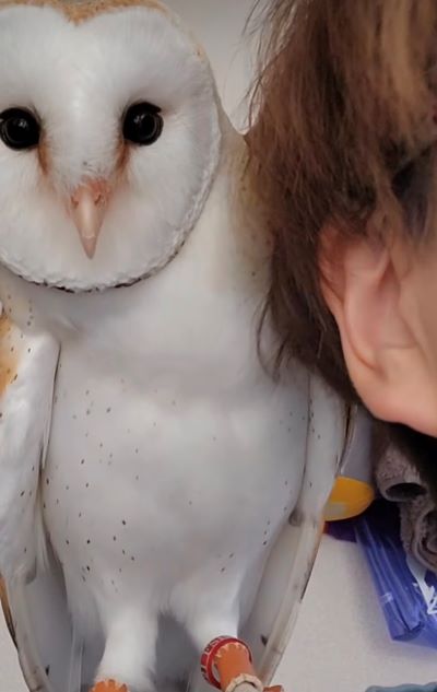 出所：@miki4wan108