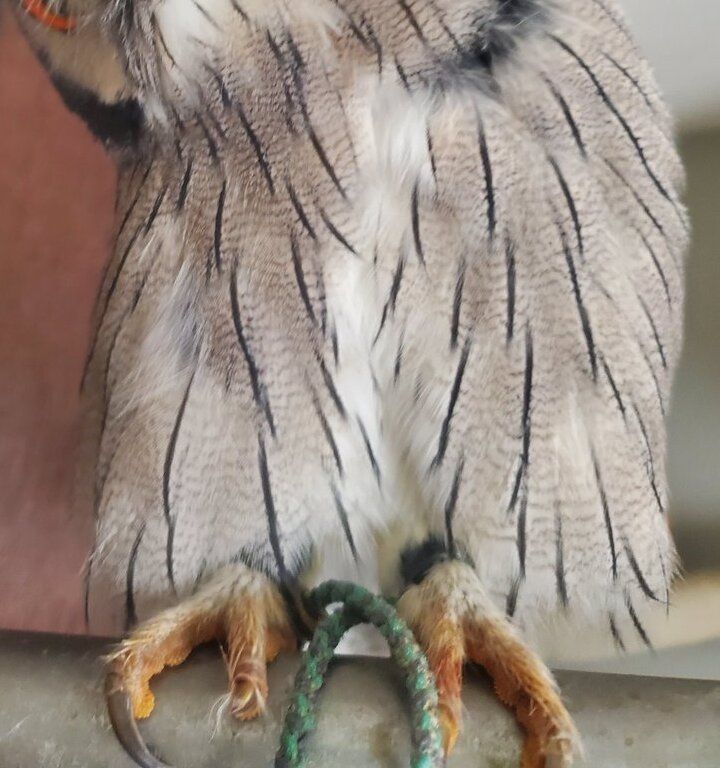 出所：@joker1999jr