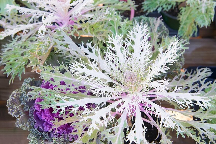 ssalina/istockphoto.com