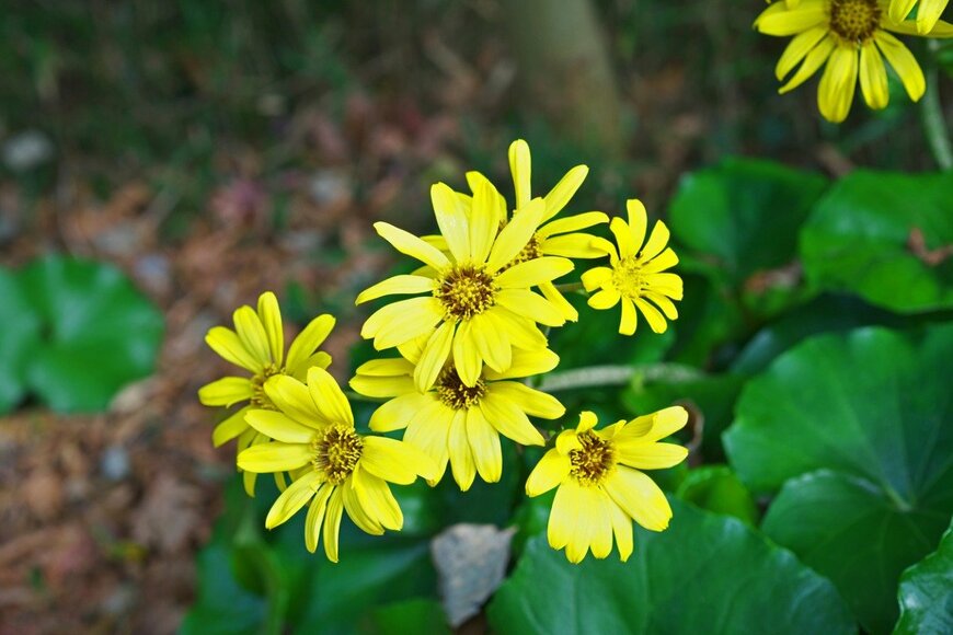 igaguri_1/istockphoto.com