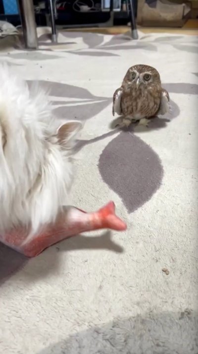 出所：@cr8673.hiro