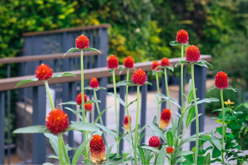 Jira Po/Shutterstock.com