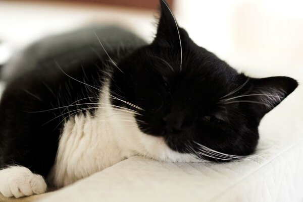 出所：@unicouniuni3