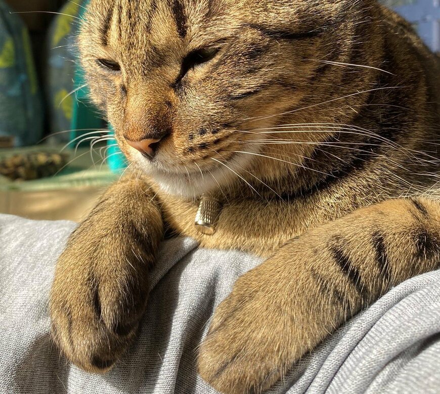 出所：@luna7taka9