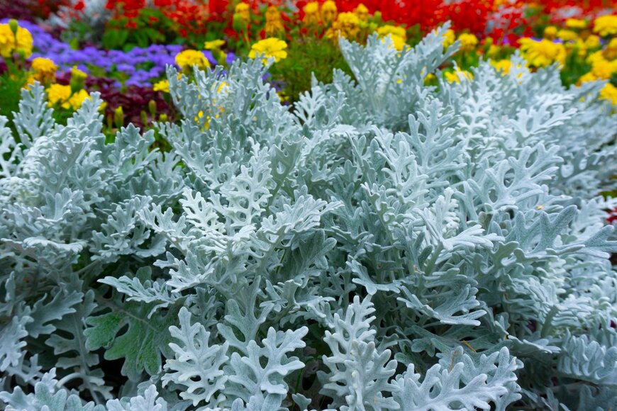 Catherine_P/Shutterstock.com