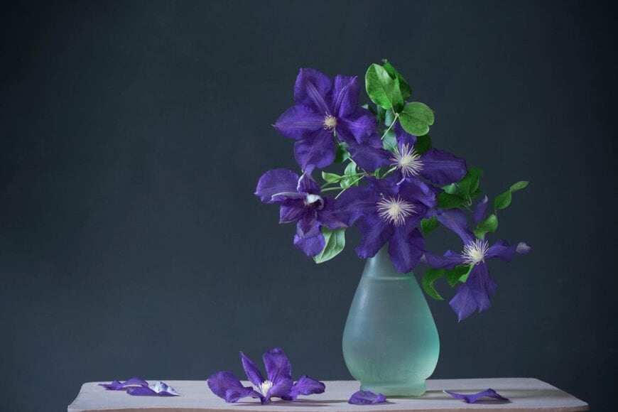 クレマチスの花。花の色は紫、透明の花瓶に生けられている