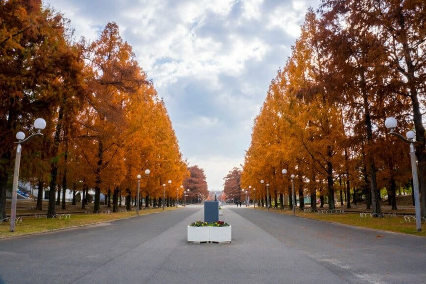 花博記念公園鶴見緑地の紅葉