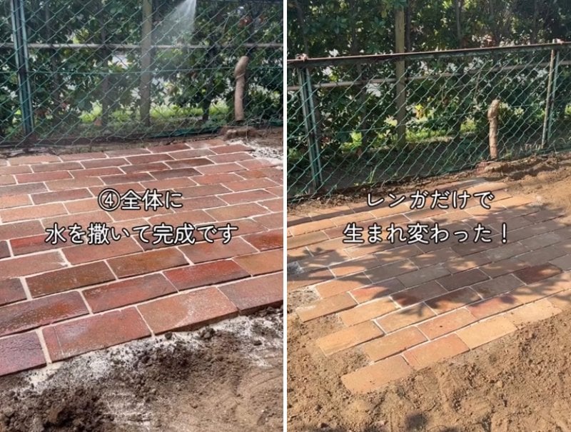 投稿の画像